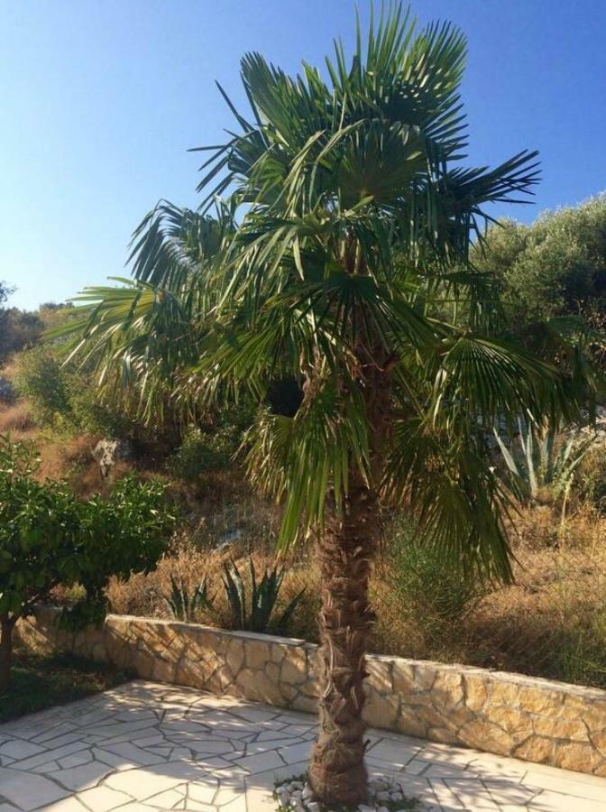 Villa Lavendel Trogir Exteriör bild
